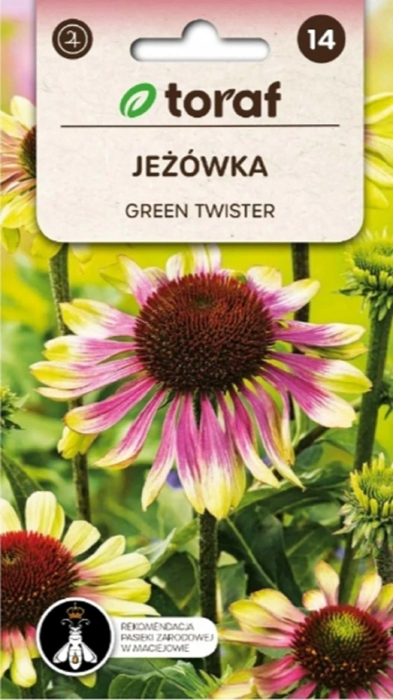 Třapatka nachová Green twister (semena)