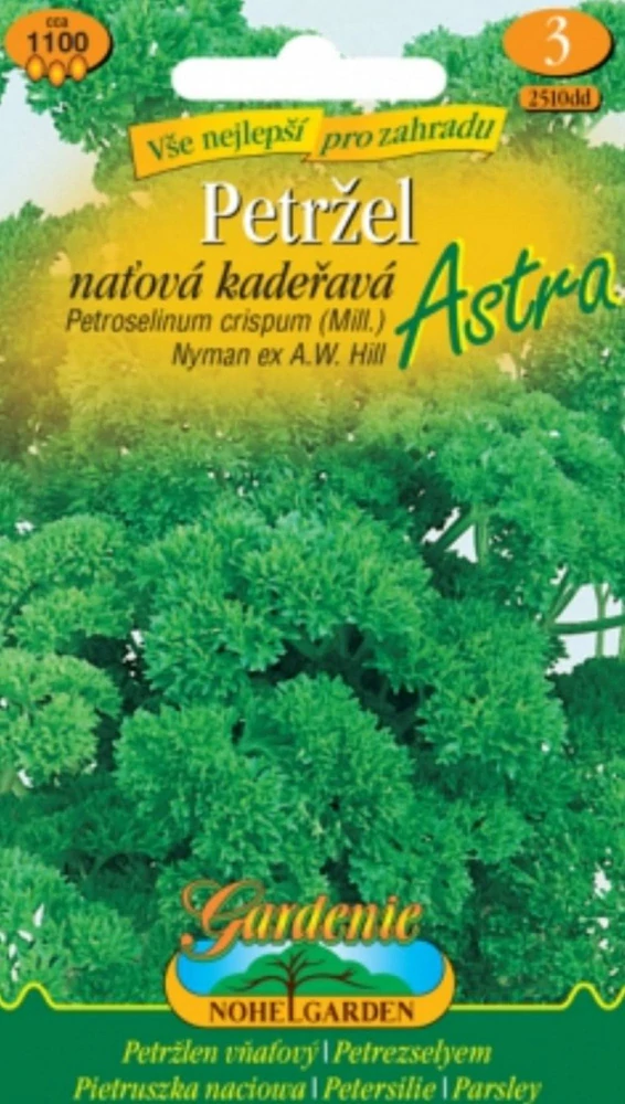 Petržel kaděřavá Astra (semena)