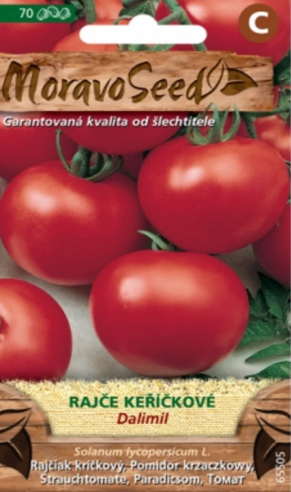 Rajče keříčkové Dalimil (semena)