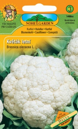 Květák letní, Delta (semena)