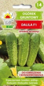 Okurka polní Dalila F1 (semena)