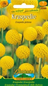 Kraspédie žlutá (semena)