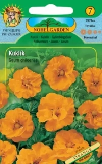Kuklík čilský, oranžový (semena)