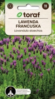 Levandule francouzská (semena)