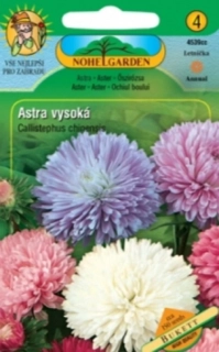 Astra čínská vysoká Bukett směs (semena)