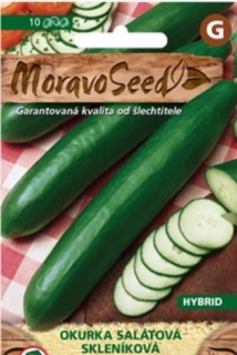 Okurka salátová Saturn (semena)