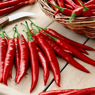 Chilli paprička Rosso (semena)