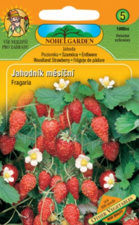 Jahodník měsíční (semena)