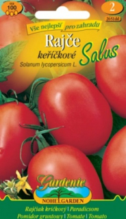 Rajče keříčkové Salus (semena)