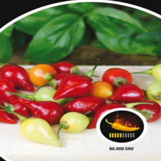Chilli paprička, Peito De Moca (semena)