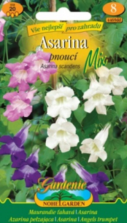 Asarina pnoucí, mix (semena)