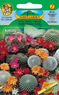 Kaktusy, mix (semena)