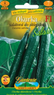 Okurka salátová do skleníku Saladin F1 (semena)
